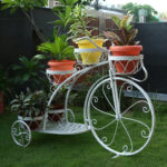 https://planterwala.com/product/stylish-metal-bi…ome-garden-decor/