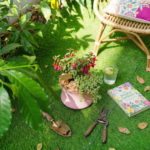 white chrysanthemum flower pot